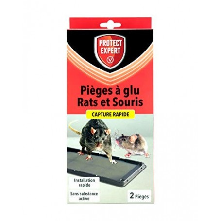 PROTECT EXPERT RASOUGLU2 Rats & Souris-2 Pièges À Glu-Identifie Les Rongeurs, Incolore