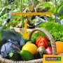Solabiol SOCOMP5 Engrais Complet - Fruits, Légumes, Fleurs | Seau 5 Kg Utilisable en Agriculture Biologique