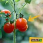 SOLABIOL SOTOMY750 Engrais Tomates et Légumes Fruits | Utilisable en Agriculture Biologique, 750 g