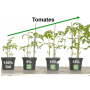 Pur ver | Fertilisant universel lombricompost 100% végétal | booste la croissance des plantes | UAB | 3,5 litres